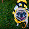 Pet Friendly | Villages at New Albany Park